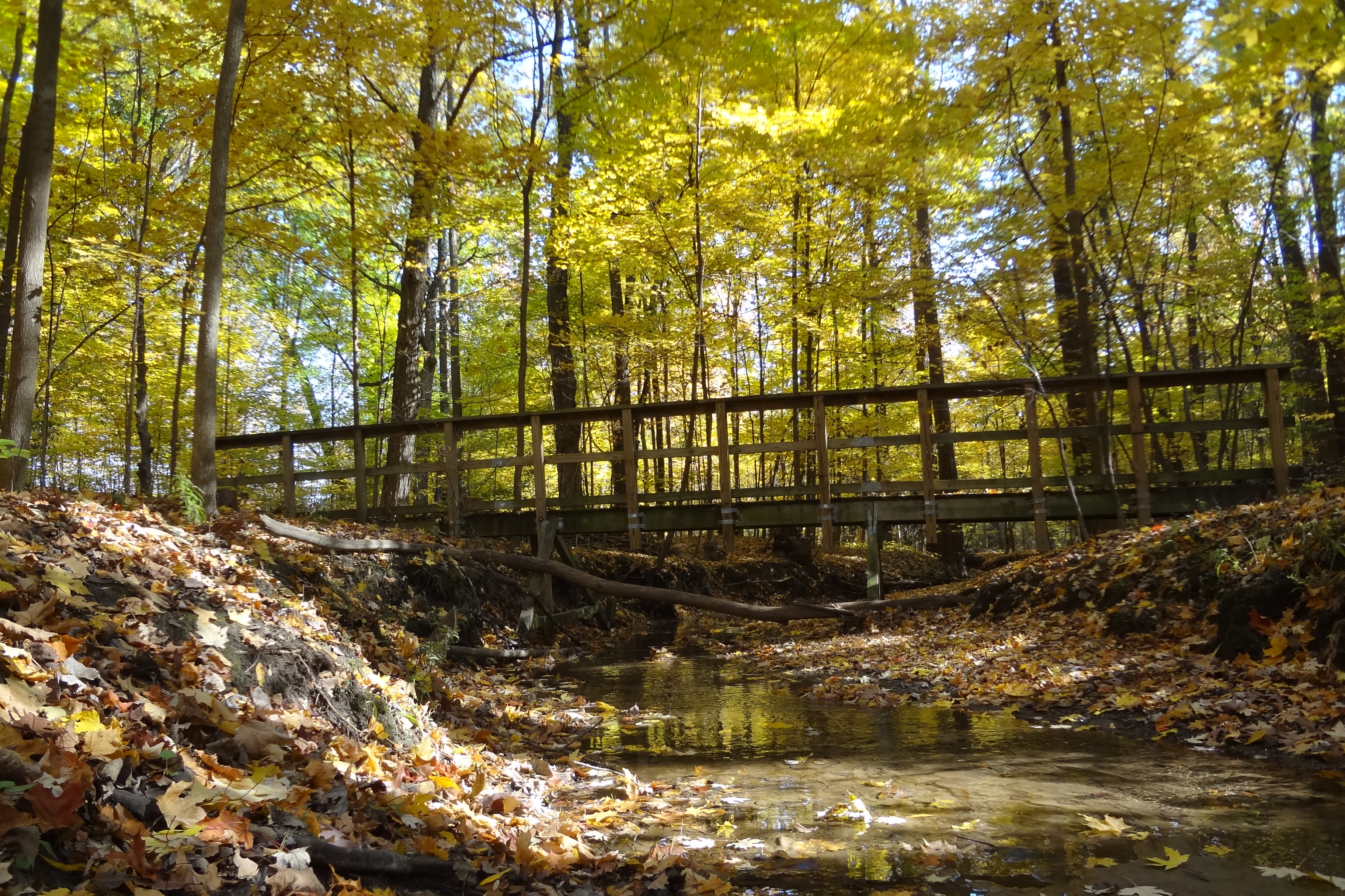 2013 update photos 275 no date.jpg