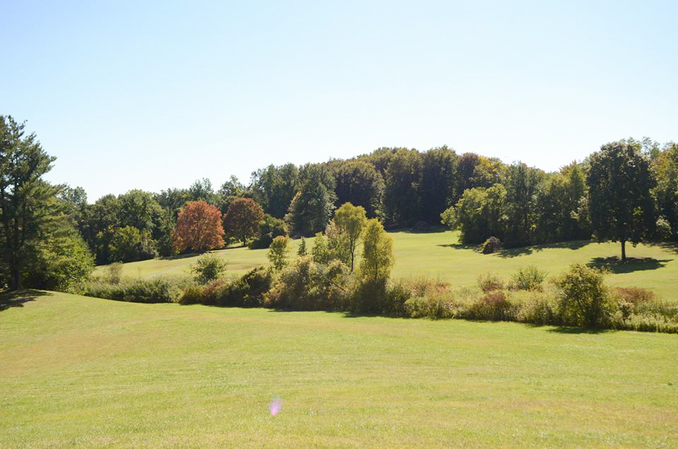 Arboretum picture 2.jpg