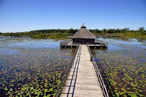 Crosswinds Marsh