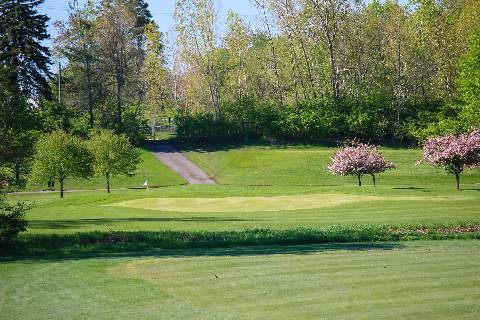 inkster valley golf course and trees