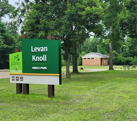 Levan Knoll.jpg