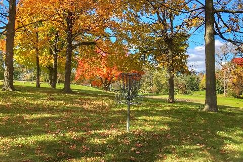 lola park trees