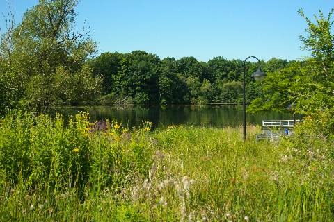 Newburgh Pointe lake