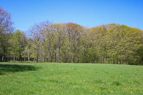 Venoy-Dorsey Recreation Area