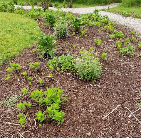 Weed Wackers- April (1).jpg