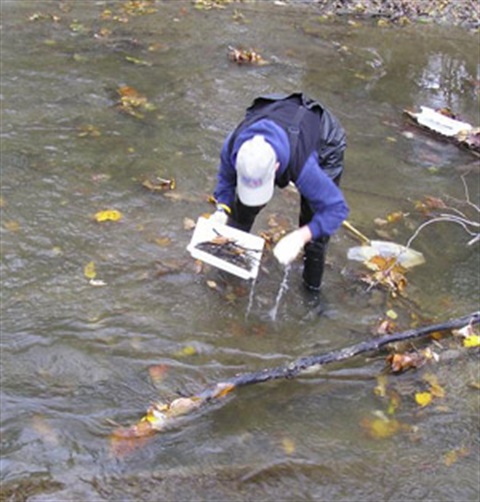 Benthic Macroinvertabrate Monitoring Program