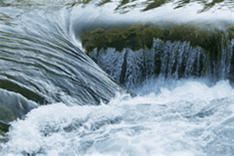 Watershed Websites