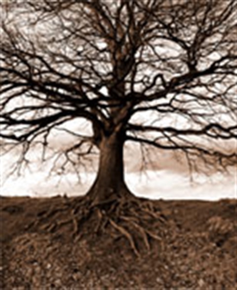 Soil Erosion & Sedimentation Control