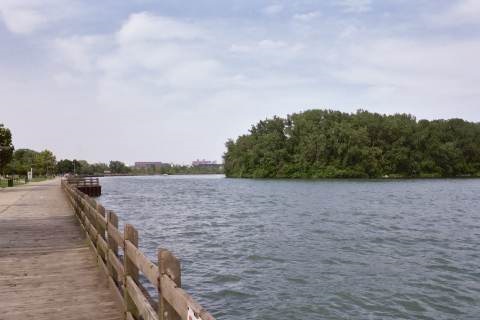 Ecorse