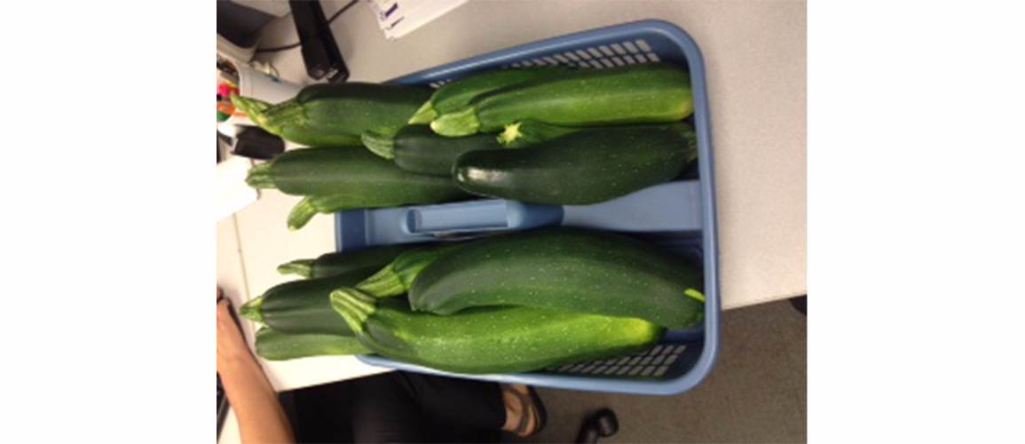Zucchinis