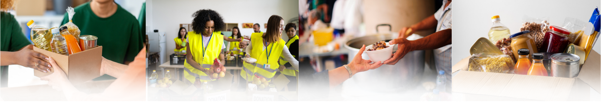 Wayne County Food Finder Header 1.png