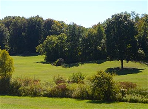 Bennett Arboretum