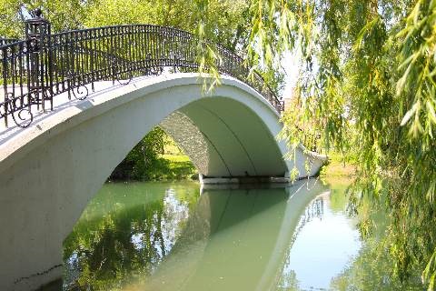Elizabeth Park Bridge